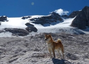 英雄联盟总决赛赛程-石与铁的对歌，当克罗地亚的韧性遇见毕尔巴鄂的传统，坎特在夹缝中起舞