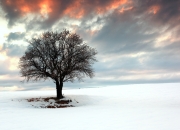 英雄联盟总决赛-绿茵东决，埃及法老强势突围，跨洲焦点战改写命运