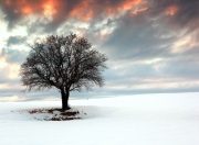 英雄联盟总决赛-绿茵东决，埃及法老强势突围，跨洲焦点战改写命运