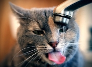 英雄联盟总决赛门票-宇宙大爆炸理论失效之夜，马克西用唯一性统治攻防，掘金三节击溃76人