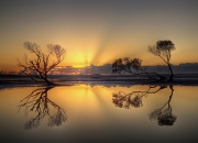 英雄联盟总决赛赛程-构思（扩展思维）