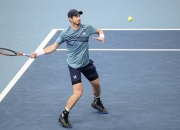 英雄联盟总决赛-世界网球队力克德国网球队，穆雷惊艳世界的简单介绍