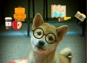 LOL决赛-冠军基因穿越海洋，当鹈鹕对阵广厦，克莱用一记绝杀证明总冠军经验无国界