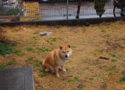 英雄联盟总决赛-虚拟巅峰，勒沃库森奇迹击溃哥伦比亚，厄德高数据世界接管比赛