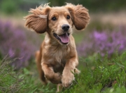 英雄联盟总决赛时间-末日？救赎！杰伦·格林压哨绝杀为上海浇铸的唯一性夜晚