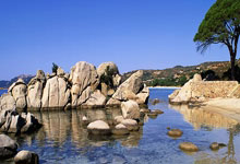 -沉默的力量，戈贝尔用防守之锁封印黄蜂，鹈鹕取胜无悬念