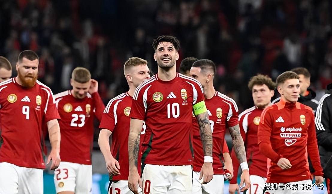 荷兰主场对阵匈牙利,取得激动人心的胜利 荷兰主场对阵匈牙利,取得激动人心的胜利