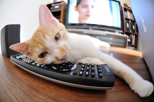 统治攻防!小贾伦以一己之力扭转比赛,成为火箭逆转上海队的绝对核心