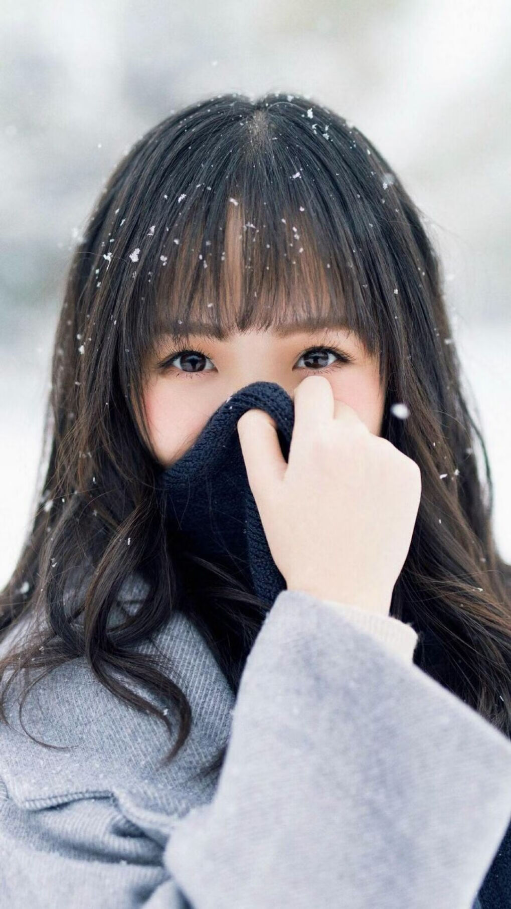 47分压制作战,法国男篮奥运周期关键战的唯一性解析