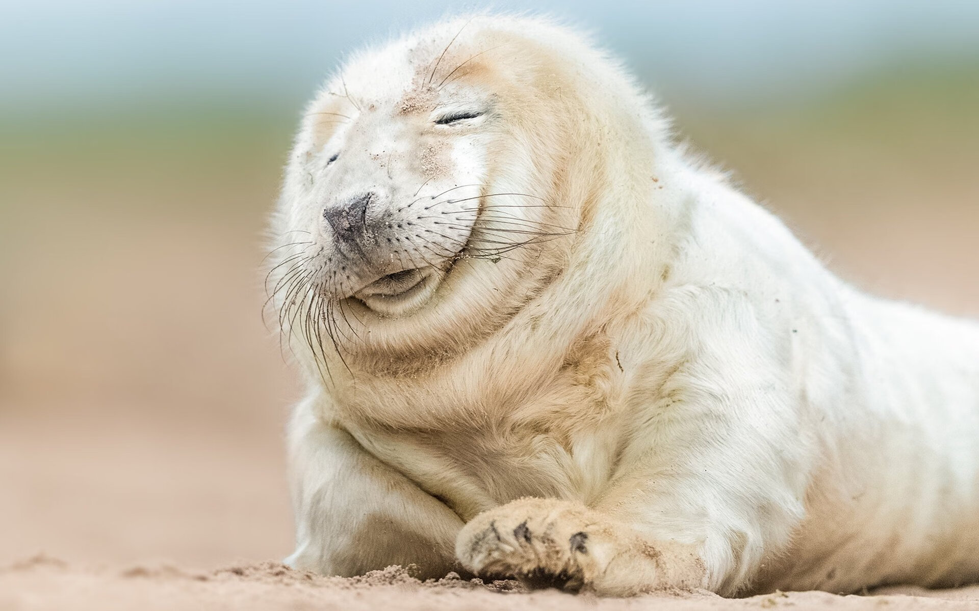 降维打击！公牛强压上海队，东契奇给出唯一答案