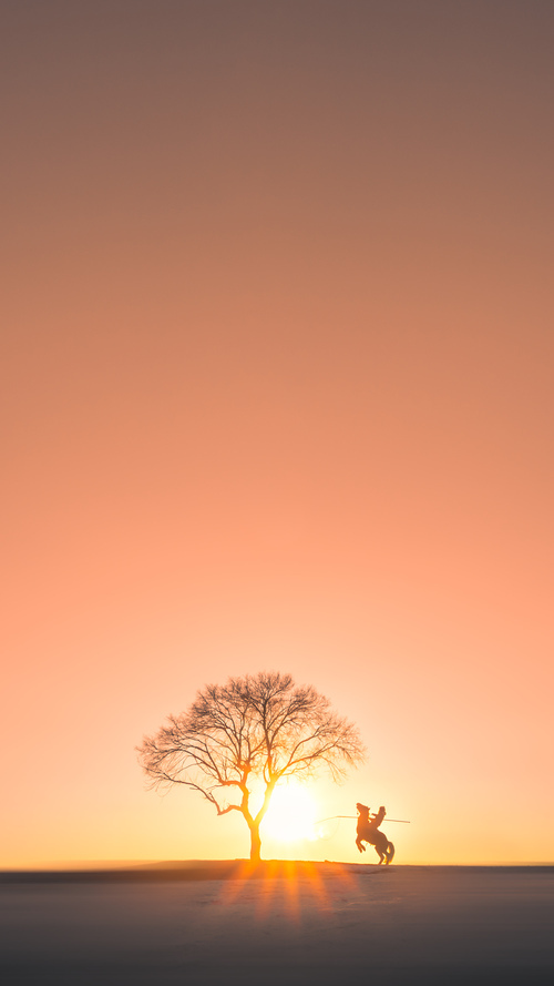 阿什拉夫极限爆发撕裂防线,拜仁稳如磐石攻克乌克兰铁壁