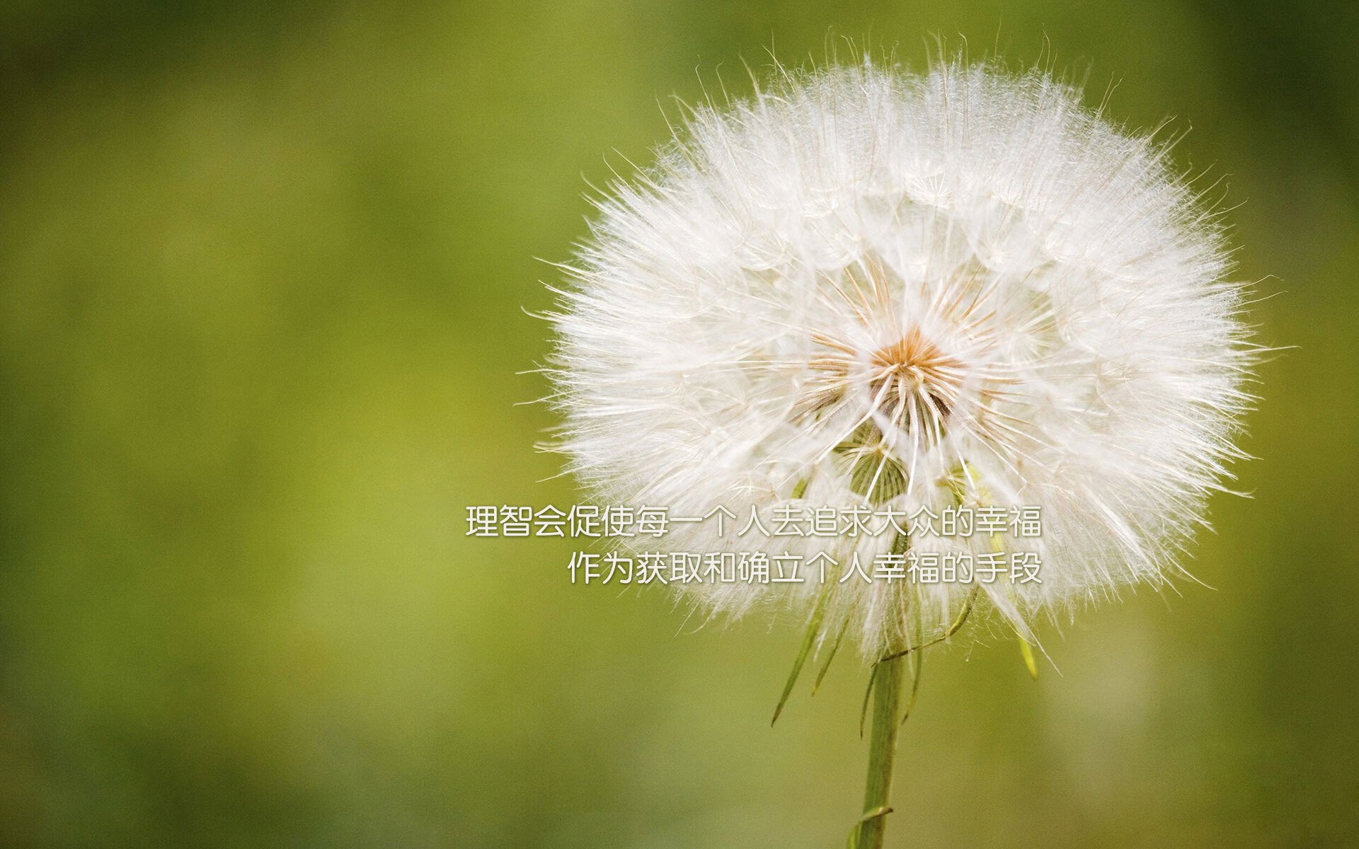 双星闪耀决战夜,灰熊破局晋级,杜兰特死神镰刀收割胜利