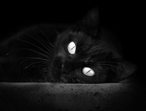 跨界死神，当莫德里奇在西决生死战的比喻中，持续制造终极杀伤