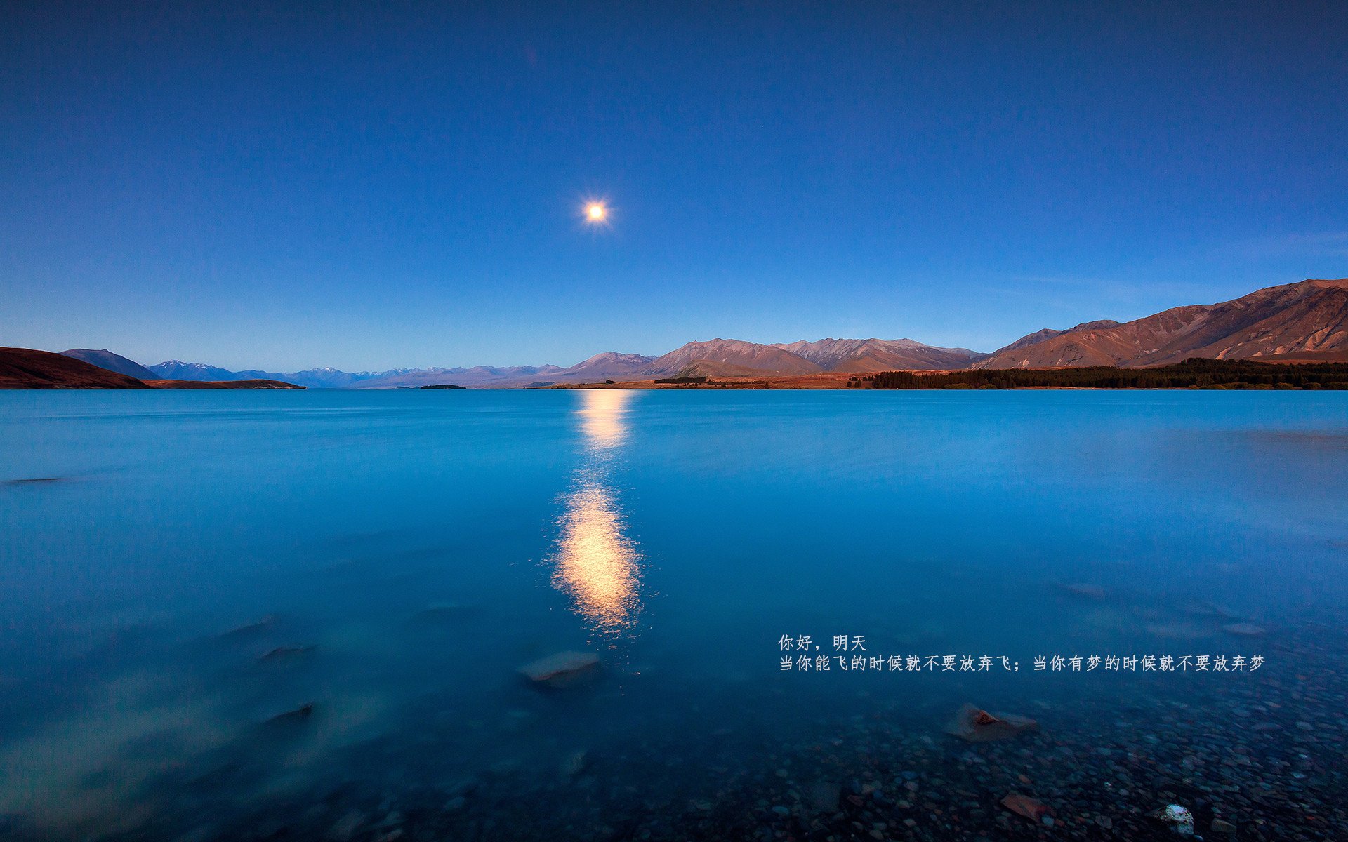 双星耀夜,当F1银翼划破巴林,哈弗茨的黄金左脚点燃伦敦